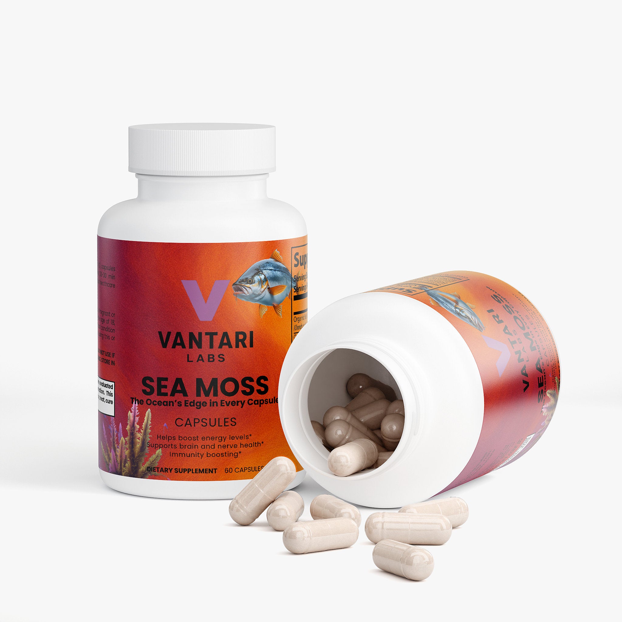 Sea Moss